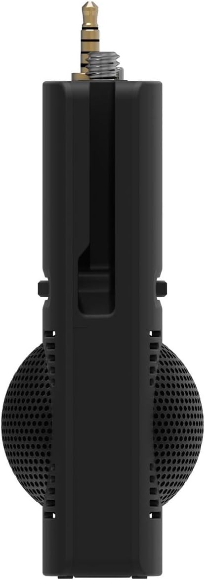 Ricoh THETA TA-1 3D Mikrofon schwarz