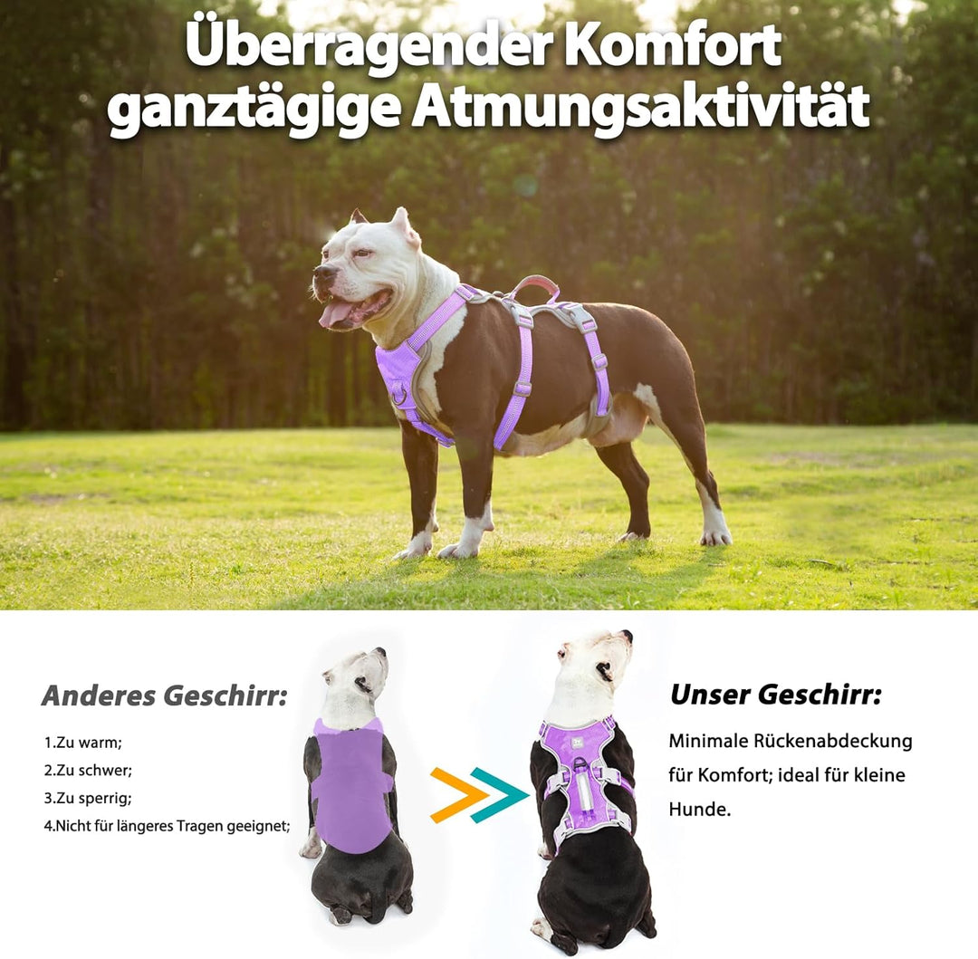 Huntboo Hundegeschirr, Hunde Sicherheitsgeschirr, Vollständig Reflektierendes Geschirr mit Gepolster