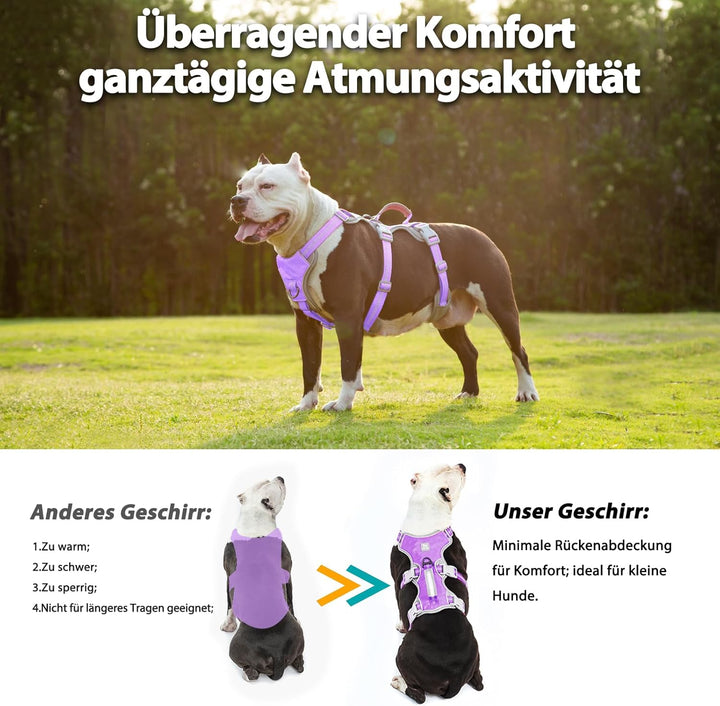 Huntboo Hundegeschirr, Hunde Sicherheitsgeschirr, Vollständig Reflektierendes Geschirr mit Gepolster