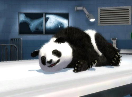 Zoo Hospital