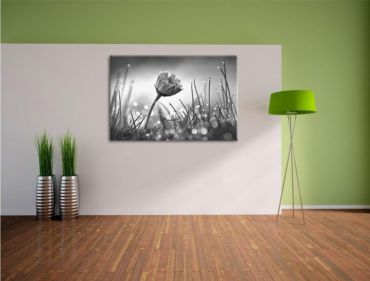 Pixxprint Gänseblümchen im Gras als Leinwandbild | Grösse: 100x70 cm | Wandbild | Kunstdruck | ferti
