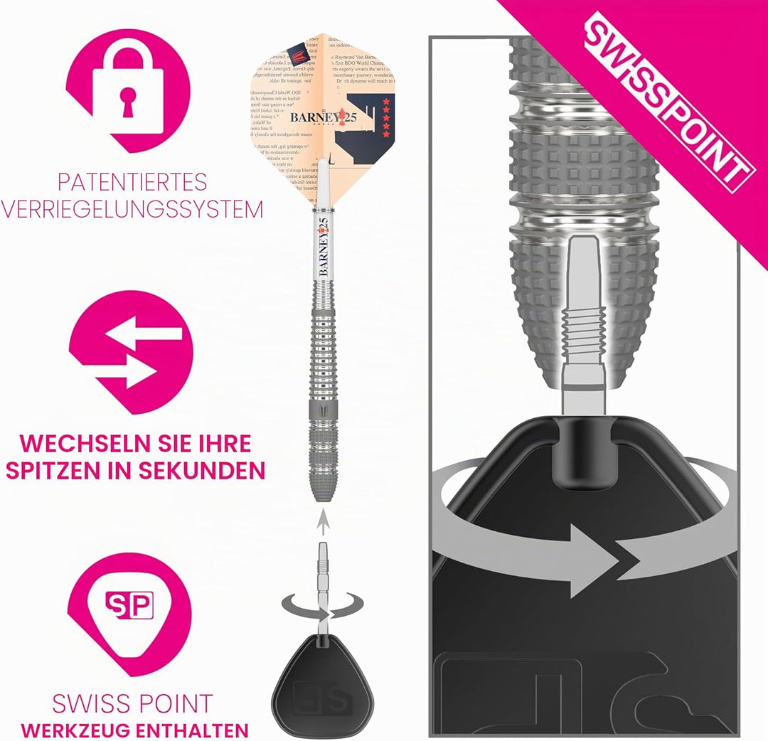 Target Darts Raymond Van Barneveld RVB 25 Year Edition 21G 95% Wolfram Swiss Point Stahlspitze Darts