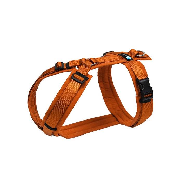 Anny-X Brustgeschirr Fun Ahorn | Hundegeschirr Grösse XXS (Brustumfang 36-42 cm), XXS
