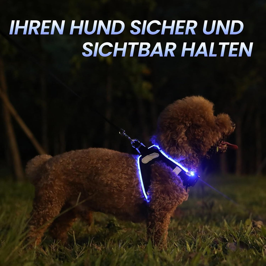 PcEoTllar Hundegeschirr Leuchtend USB Aufladbar Reflektierendes Leuchtgeschirr LED Leucht Brustgesch