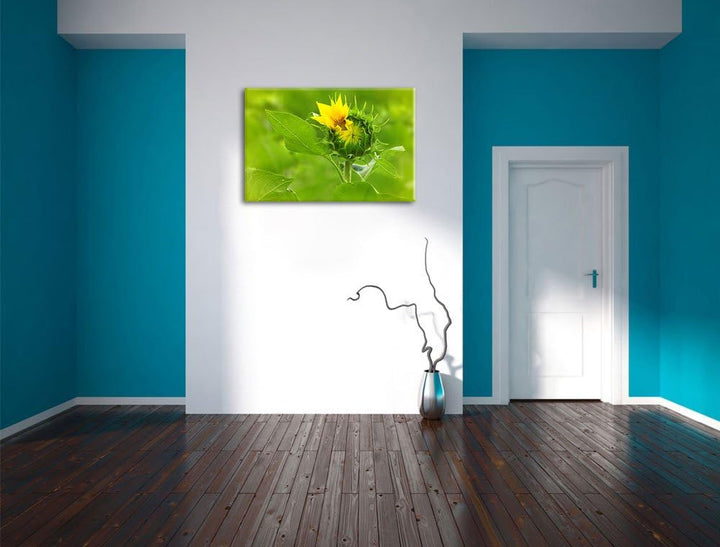 Aufblühende Sonnenblume, Format: 100x70 auf Leinwand, XXL riesige Bilder fertig gerahmt mit Keilrahm