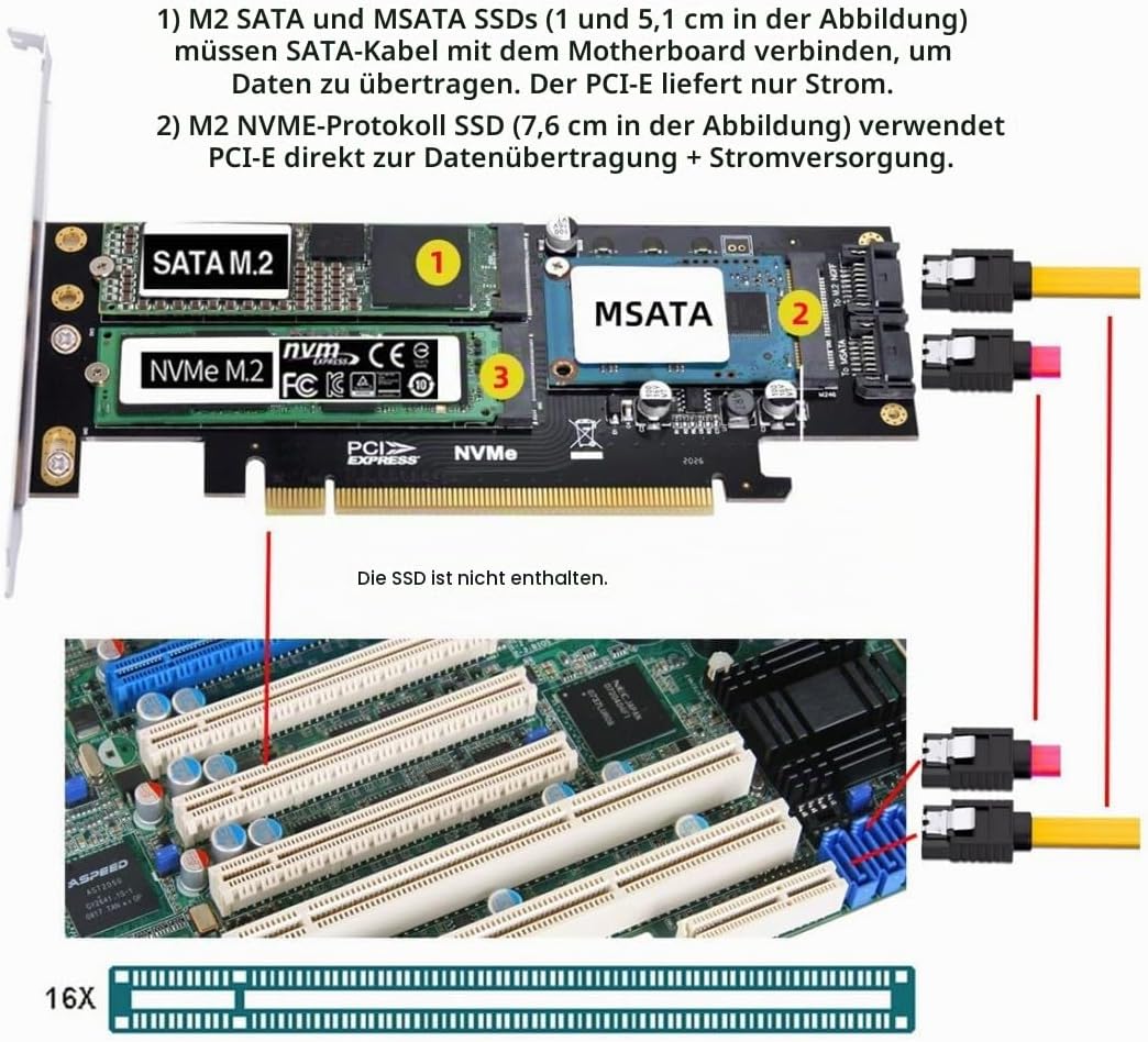 chenyang CY Dual SATA &amp; PCI Express PCI-E 3.0 zu NGFF NVME M.2 MSATA M-Schlüssel B/M-Schlüssel SSD K