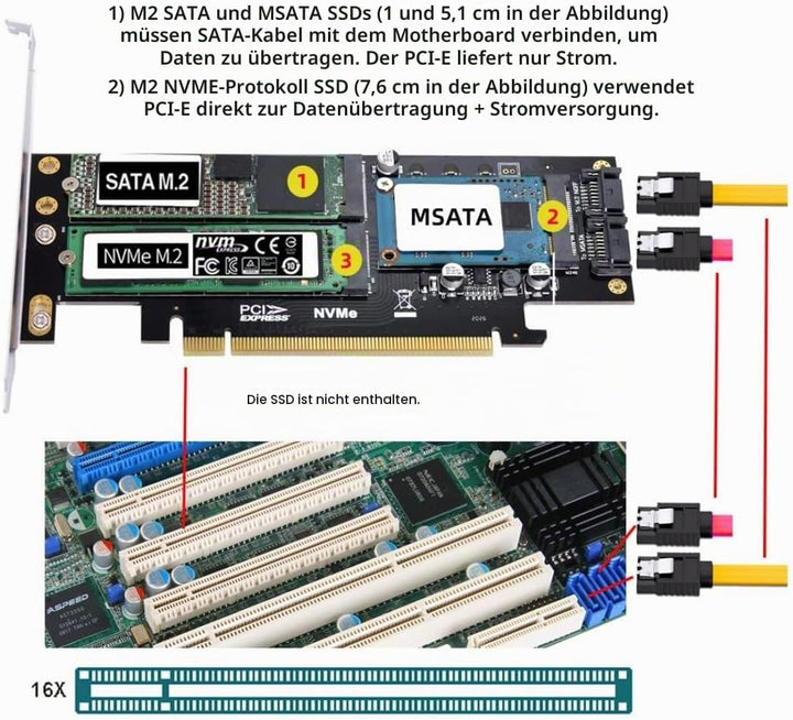 chenyang CY Dual SATA &amp; PCI Express PCI-E 3.0 zu NGFF NVME M.2 MSATA M-Schlüssel B/M-Schlüssel SSD K