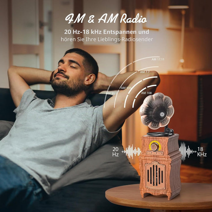 COLSUR Retro Radio Bluetooth 5.3 Lautsprecher Tragbarer Vintage Lautsprecher mit AM FM Radio Wiedera