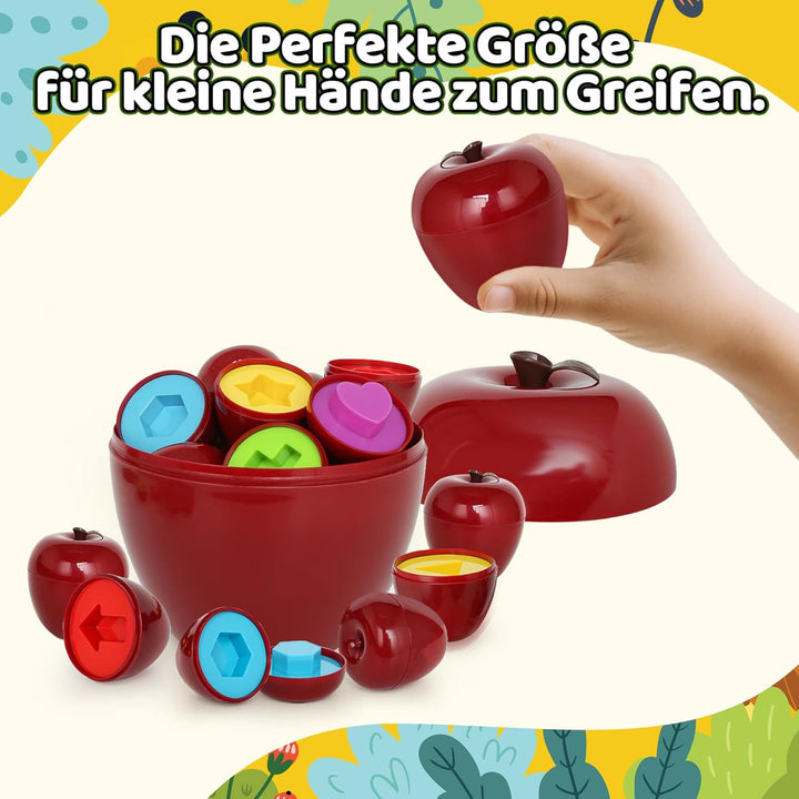 Montessori Spielzeug ab 1 Jahr – Apfel Sortier- & Lernspiel zur Farbe & Form Erkennung, fördert Fein