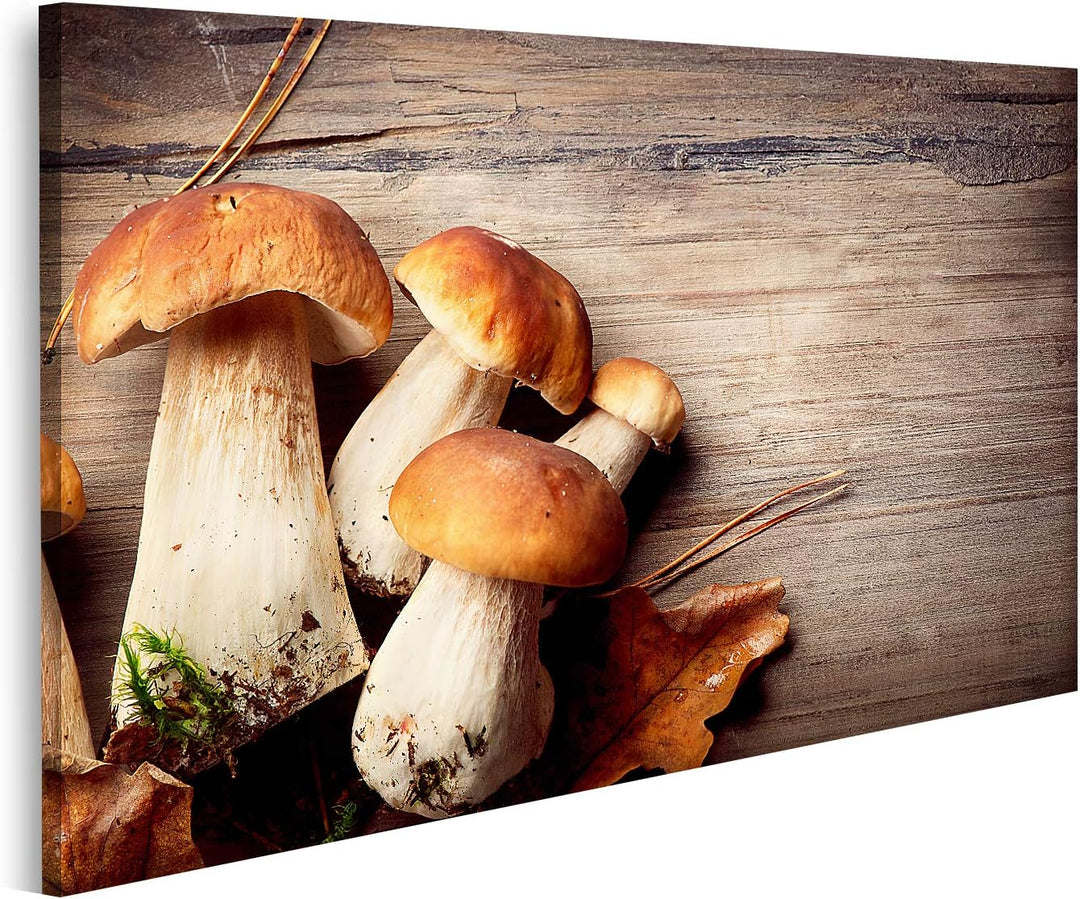 islandburner Bild auf Leinwand Pilz Boletus über hölzernen Hintergrund Herbst Steinpilze Bilder Wand