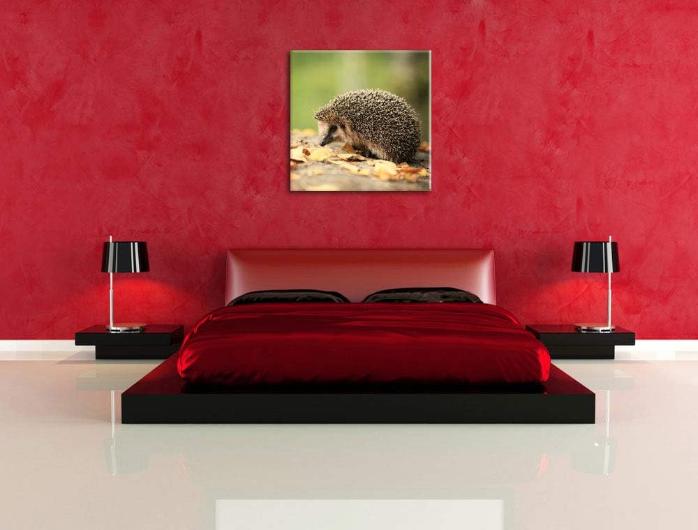 Pixxprint Igel im Laub, Format: 70x70 auf Leinwand, XXL riesige Bilder fertig gerahmt mit Keilrahmen