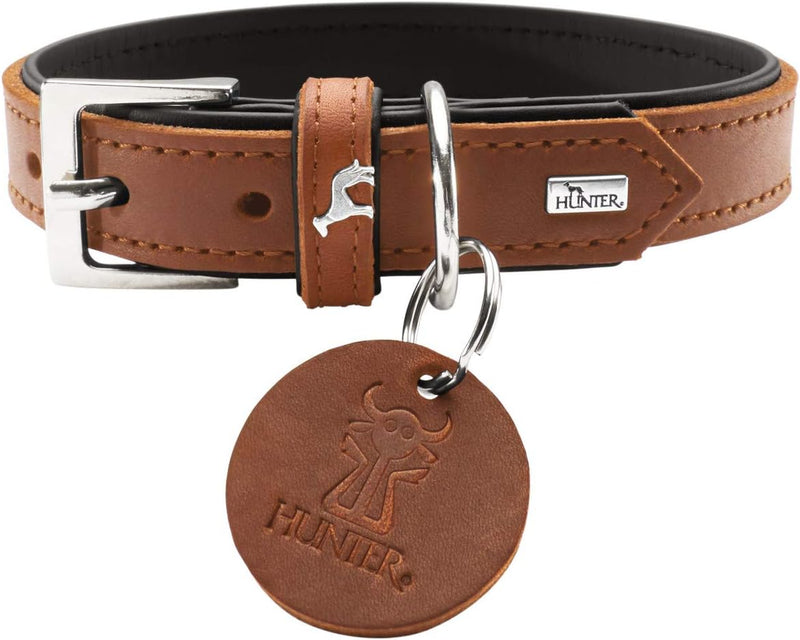 HUNTER LARVIK Hundehalsband, Leder, schlicht, elegant, komfortabel, 60 (M-L), cognac/schwarz cognac/