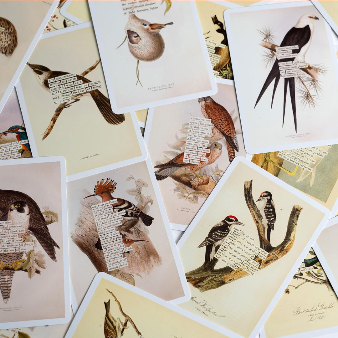 An Almanac of Birds: 100 Divinations for Uncertain Days, Karten