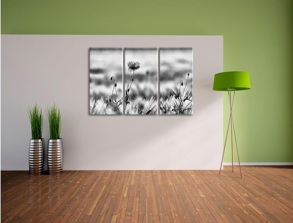 Pixxprint Blumen im Feld Tulpen als Leinwandbild/Grösse: 3 Teilig (120x80) cm/Wandbild/Kunstdruck/fe