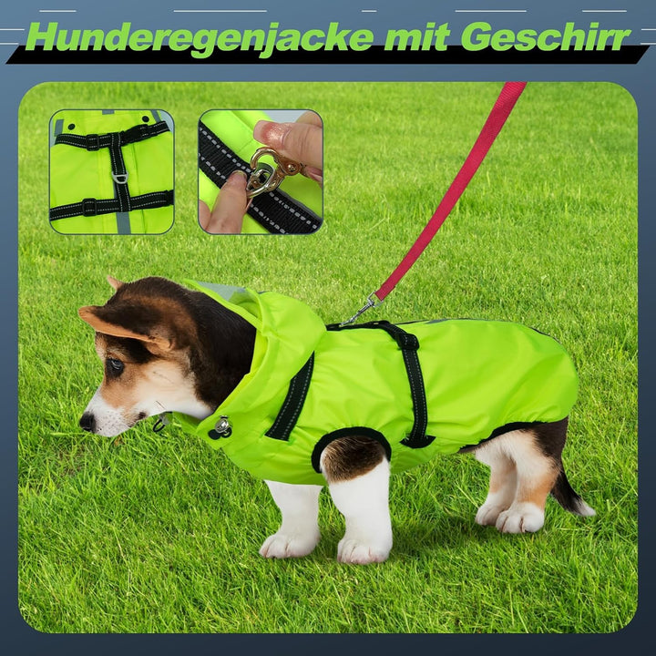 Hunderegenmantel wasserdicht, Regenjacke mit reflektierenden Streifen, H-Brustgeschirr (D-Ring) &amp; Ab