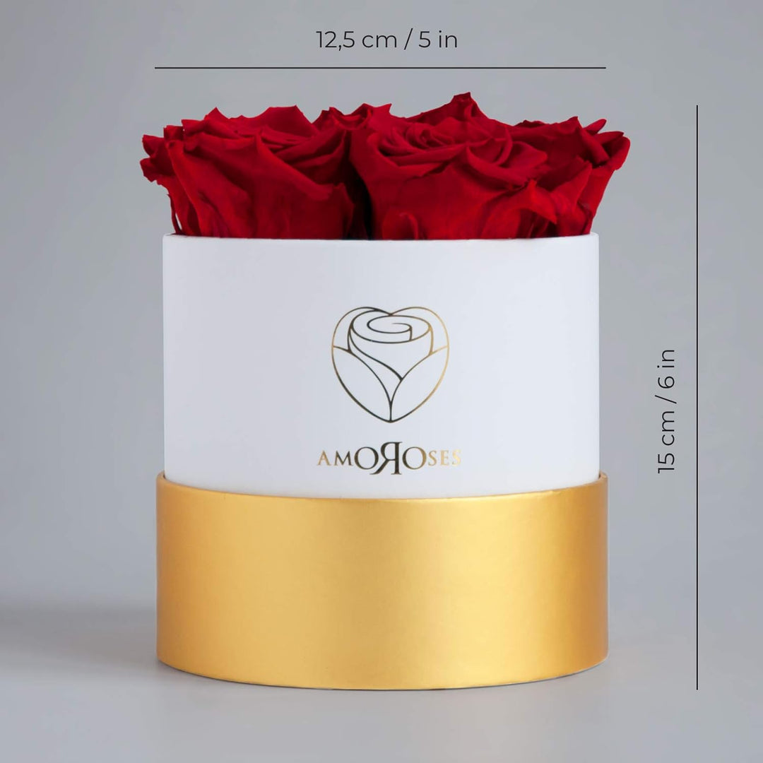 Amoroses Petite - Geschenkbox 5 ewige stabilisierte Rosen - Eleganter Strauss echter Blumen | Gesche