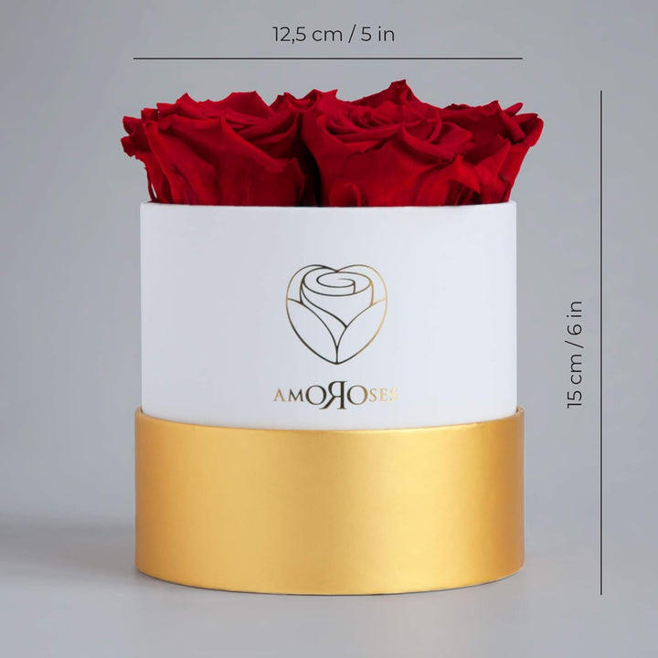 Amoroses Petite - Geschenkbox 5 ewige stabilisierte Rosen - Eleganter Strauss echter Blumen | Gesche