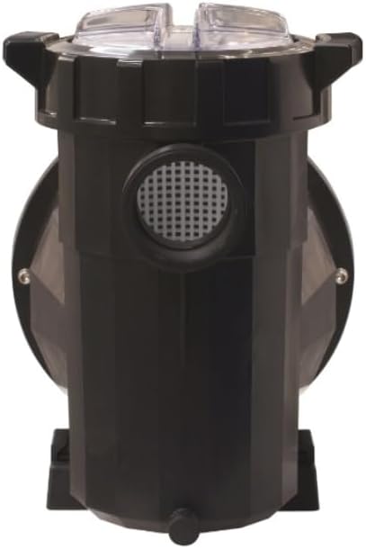 Fluidra 65562 – Pumpe Victoria Plus Silent 1 CV Mono