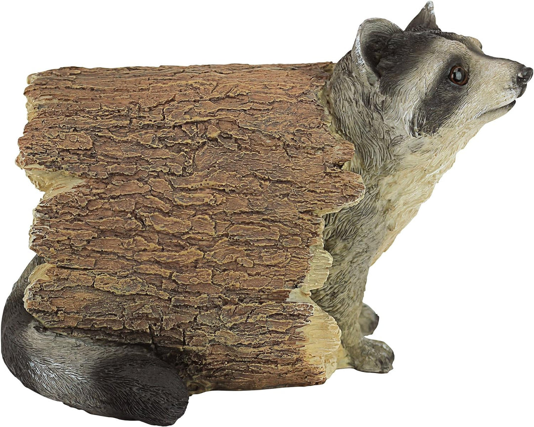 Design Toscano Bandit der Waschbär Tierstatue, Polyresin, Vollfarbe, 25,5 cm, Bandit