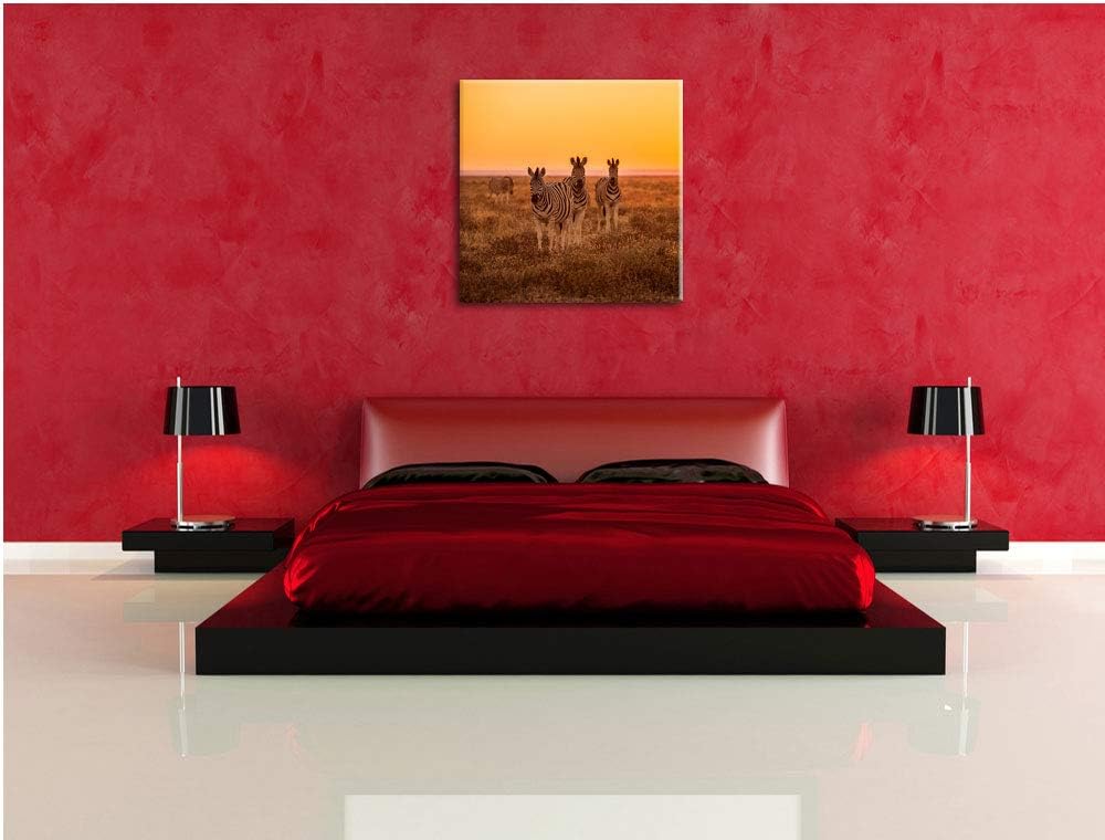 Zebra in der Savanne, Format: 70x70 auf Leinwand, XXL riesige Bilder fertig gerahmt mit Keilrahmen,