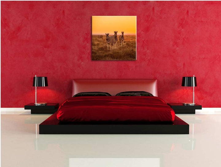 Zebra in der Savanne, Format: 70x70 auf Leinwand, XXL riesige Bilder fertig gerahmt mit Keilrahmen,