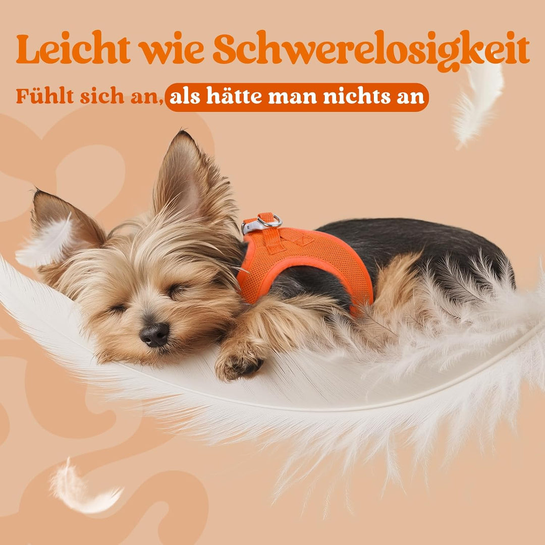 rabbitgoo Hundegeschirr Kleine Hunde, Step-in Welpengeschirr Weich Mesh für Spaziergänge, Atmungsakt