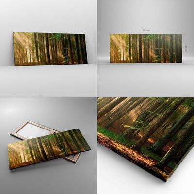 Panorama Bilder auf Leinwand 100x40cm Leinwandbild mit Rahmen Wald Baum Natur Gross Wanddeko Bild Sc