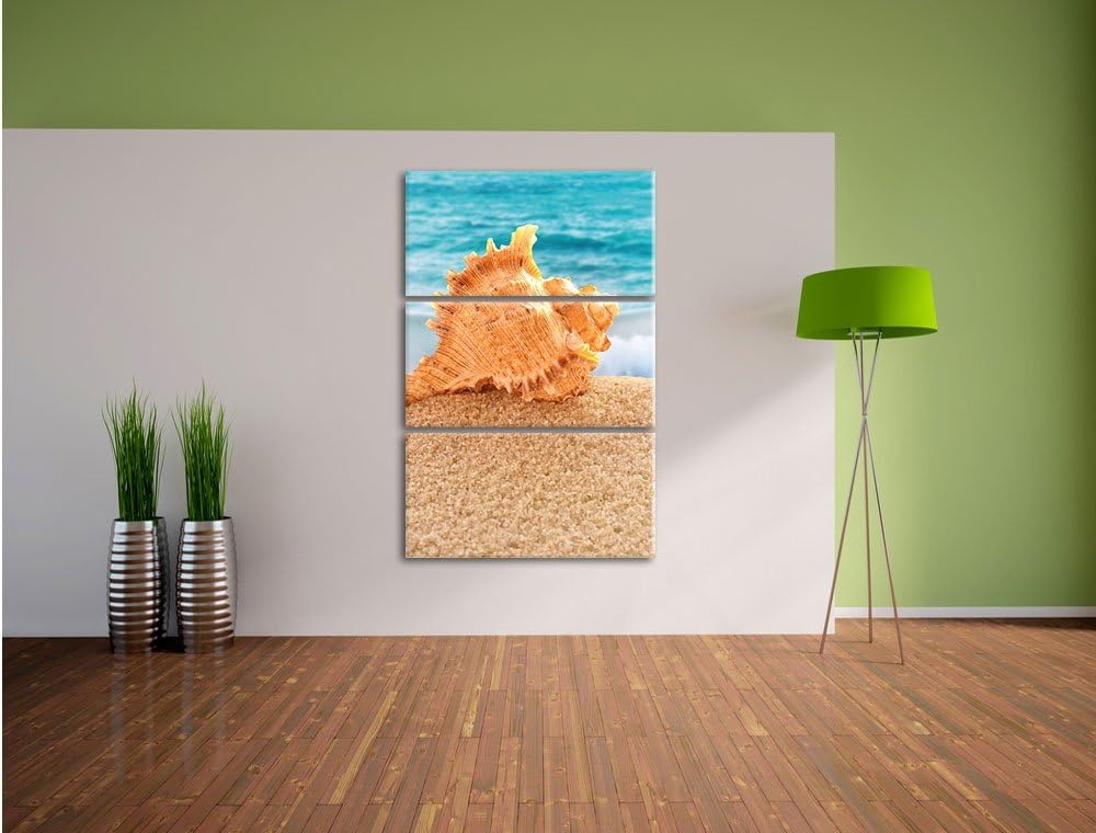 Pixxprint Muschel am Strand 3-Teiler Leinwandbild 120x80 Bild auf Leinwand