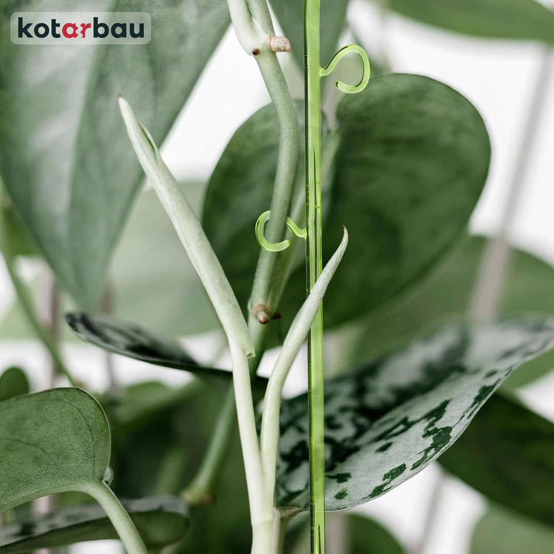 KOTARBAU® 2er Set Pflanzenstütze Grün PVC 58 cm Blumenstütze Rankhilfe Zimmerpflanzen Blumenstütze G