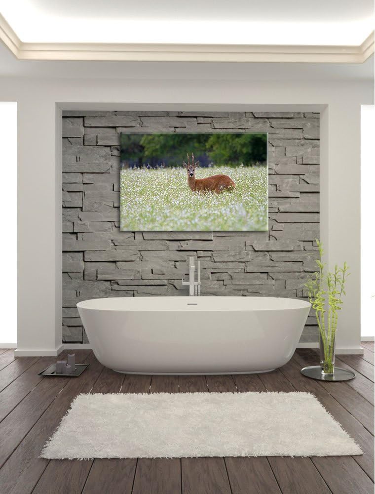 junger Hirsch auf Wildwiese Leinwand, XXL riesige Bilder fertig gerahmt mit Keilrahmen, Kunstdruck a