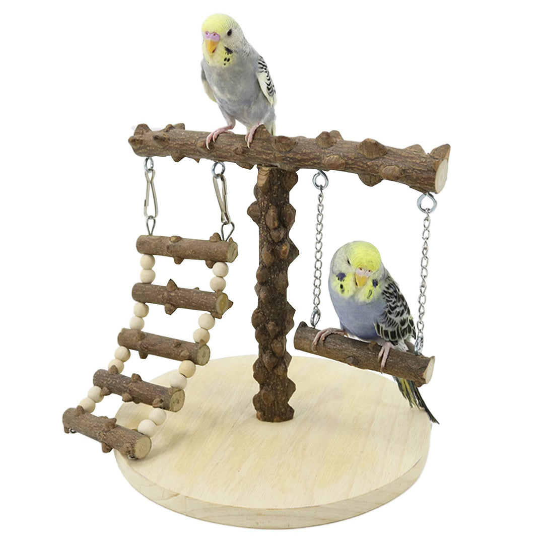 Wellensittich Spielplatz Vogel-Spielplatz mit Spielzeug Leiter Erklimmen Schaukel für Nymphensittich