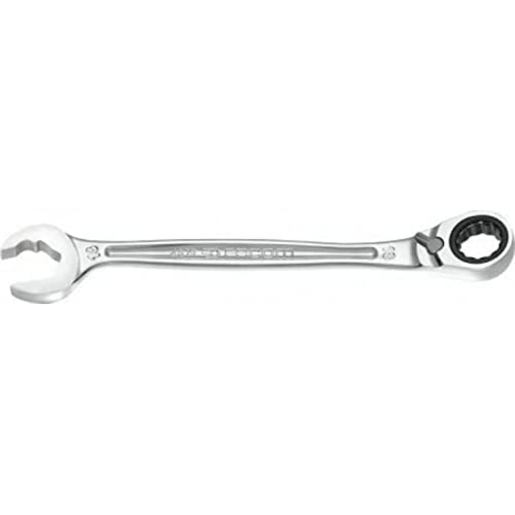 Duo-Knarren-Ring-Maulschluessel 10 mm 10 mm Silber, 10 mm Silber