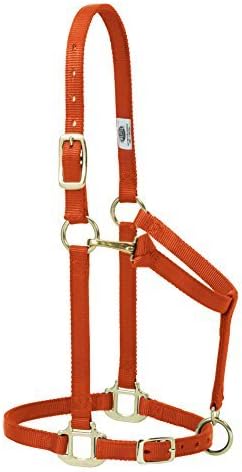 Weaver Leather Original verstellbares Nylonhalfter für Pferde Yearling Horse Orange, Yearling Horse