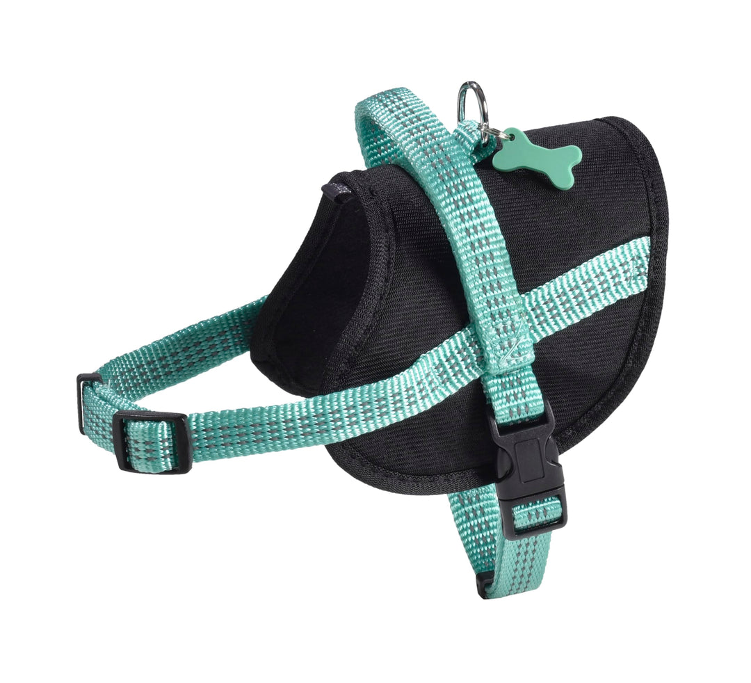 Easy Safe Geschirr, Blau lagon, lagon