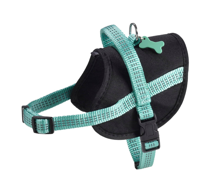 Easy Safe Geschirr, Blau lagon, lagon