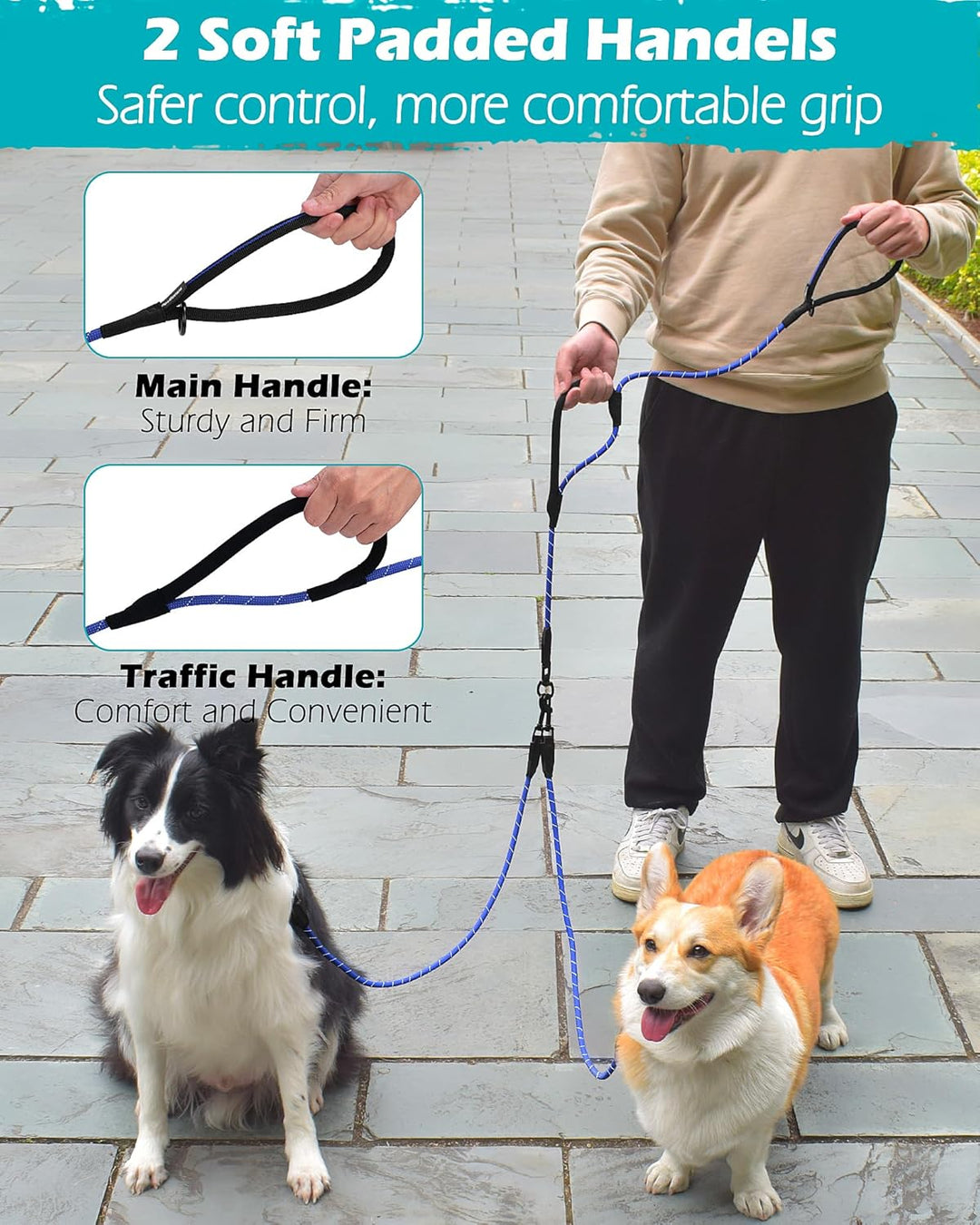 PetBonus Hundeleine Doppelleine für 2 Hunde, Keine Verwicklung Trainingsleine mit Zwei Gepolsterten
