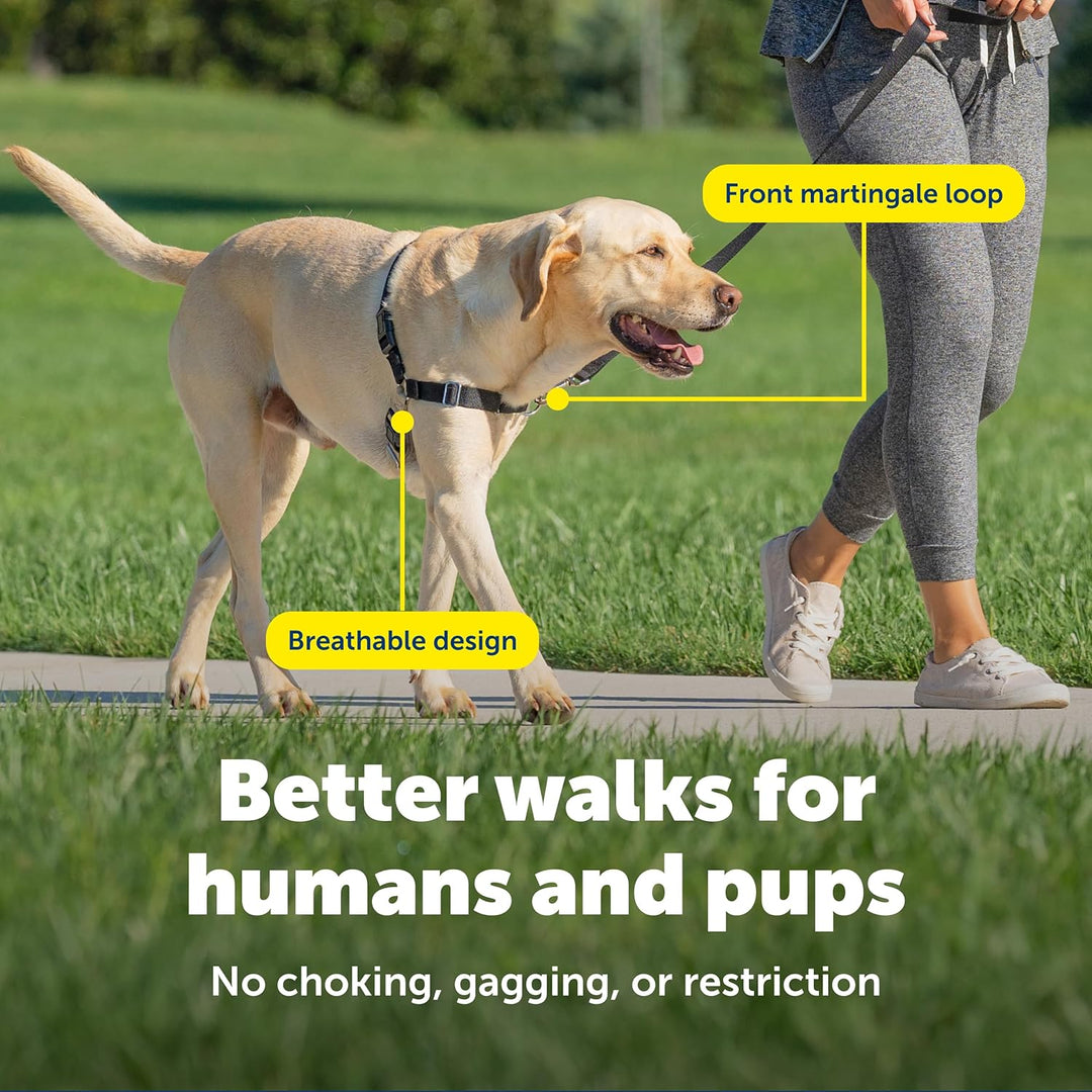 PetSafe Easy Walk Hundegeschirr. rot / schwarz M, rot / schwarz M