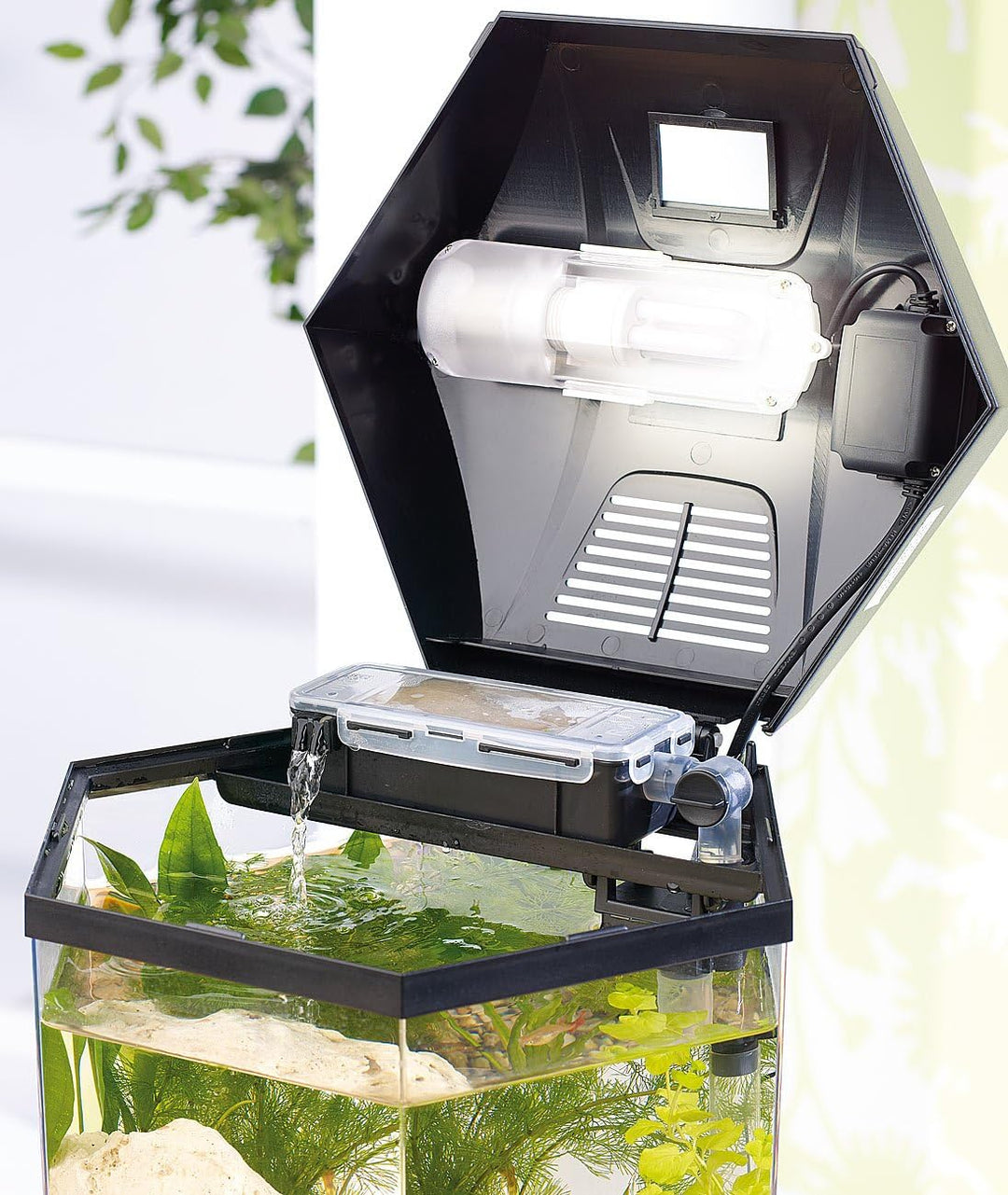 infactory Nano Aquarium: Beleuchtetes Panorama-Aquarium Hexagon, Komplett-Set, 19 l (Panorama Aquari