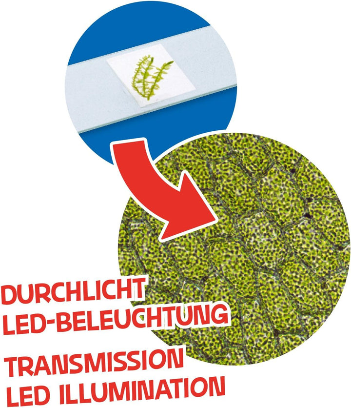 Bresser Junior Mikroskop 40x-640x mit LED-Durchlichtbeleuchtung, Zoom-Monokular, Batteriebetrieb und