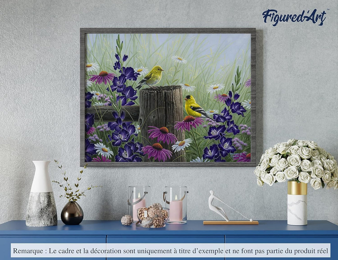 Figured'Art Malen Nach Zahlen Erwachsene Mit Rahmen Stieglitz Pärchen - Paint by Numbers Basteln DIY