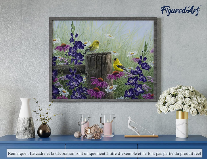 Figured'Art Malen Nach Zahlen Erwachsene Mit Rahmen Stieglitz Pärchen - Paint by Numbers Basteln DIY