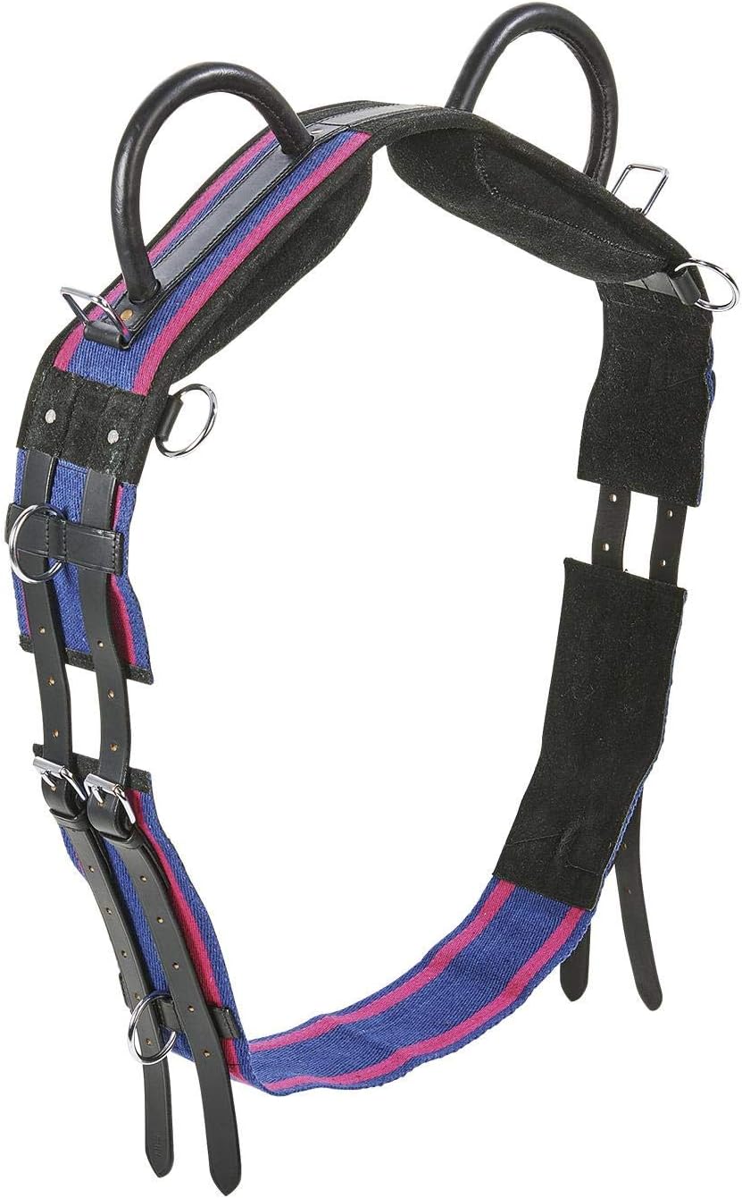 Longiergurt Double navy/passion pink Shetty, navy/passion pink Shetty