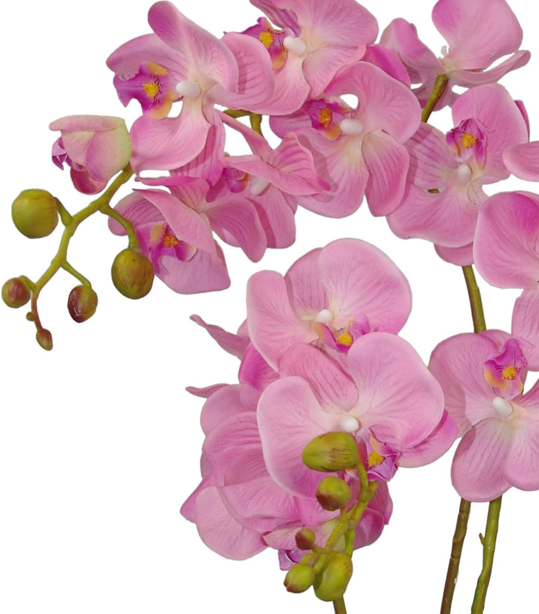 Leaf Kunstpflanze Orchideenblatt, realistisch, 60 cm, Rosa 60cm Large Pink 60 cm, 60cm Large Pink 60