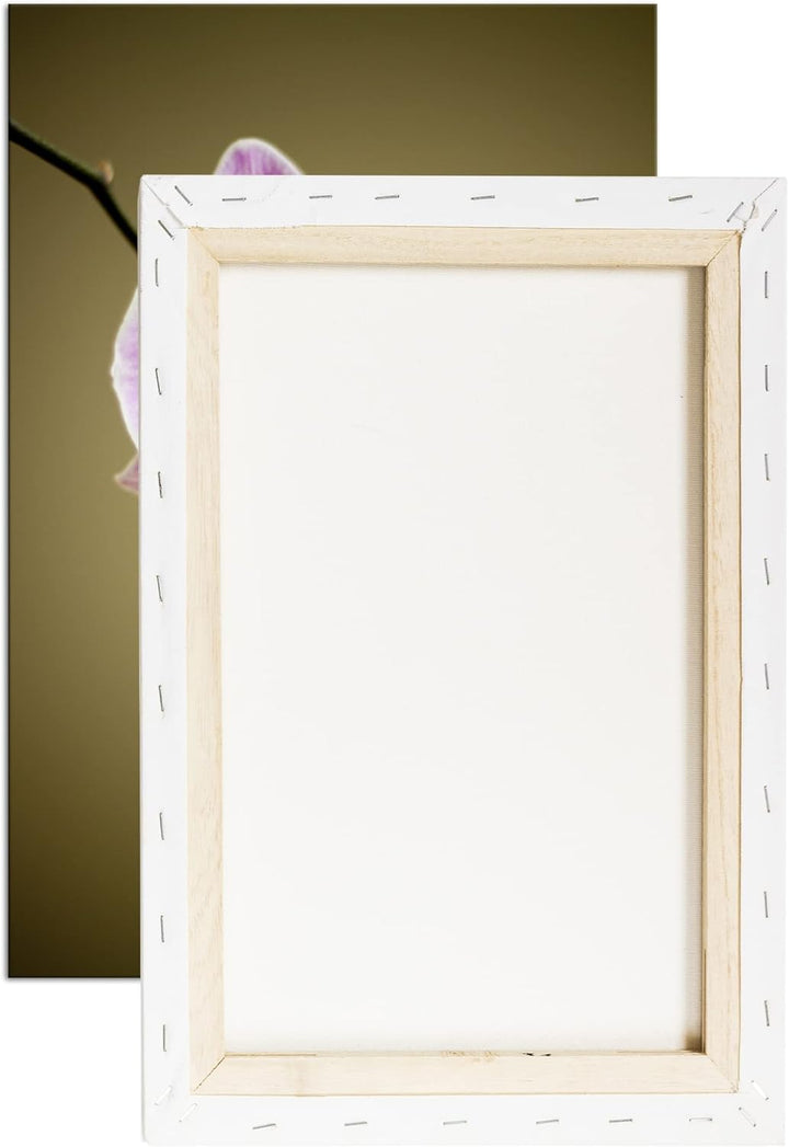 deyoli zauberhafte Orchidee Format: 100x70 als Leinwandbild, Motiv fertig gerahmt auf Echtholzrahmen