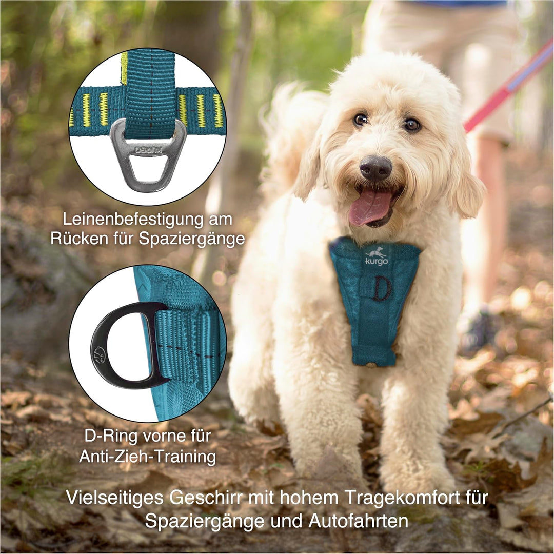 Kurgo Tru-Fit Hundegeschirr, Crash-Test-erprobtes Auto-Sicherheitsgurt, Für Hunde von 2 bis 5 kg, Gr