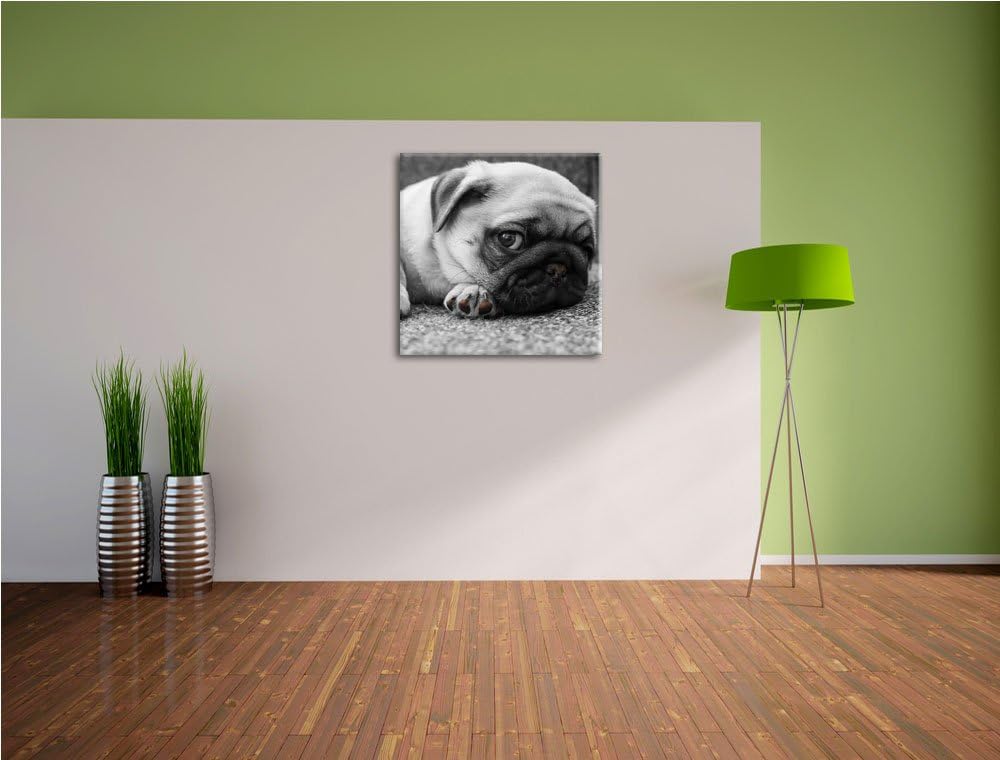 Pixxprint süsser Kleiner Mops auf Teppich schwarz/weiss, Format: 70x70 auf Leinwand, 70x70