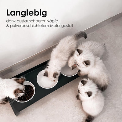 LucyBalu® Erhöhte 3er-Futterstation Katze | Ergonomischer Katzennapf erhöht | Erhöhter Futternapf fü