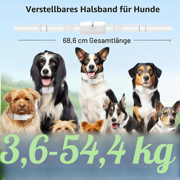 Generisch Erziehungshilfen,Ideal auch für Agility-Training.Praktische Hundeerziehungshilfen,Das Hund