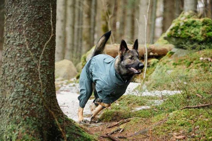 Rukka Pets Hunde- und Welpenmantel – Schutzoverall – Gelb, Grösse 30 gelb 30, gelb 30