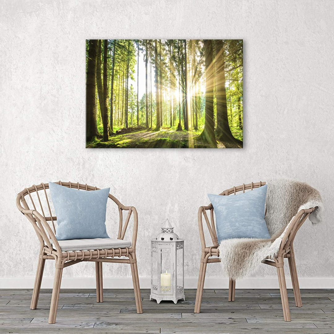 Feeby Bilder Wald Baum Sonne 70x50 cm Wohnzimmer Schlafzimmer Büro Flur Küche Wandbilder Modern Bild
